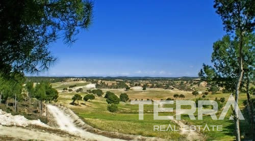 Detached Villa for Sale in Pilar de la Horadada, Costa Blanca, Spain - 121322
