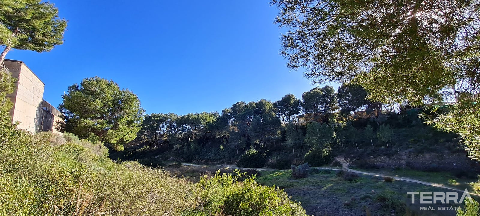 Detached Villa for Sale in Pilar de la Horadada, Costa Blanca, Spain - 121329