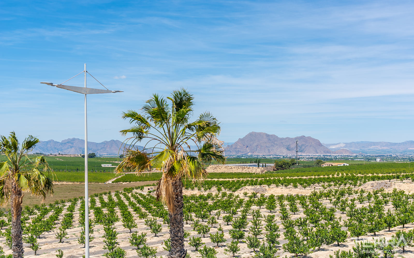 Golf Villas for Sale in Algorfa, Costa Blanca, Spain - 124262