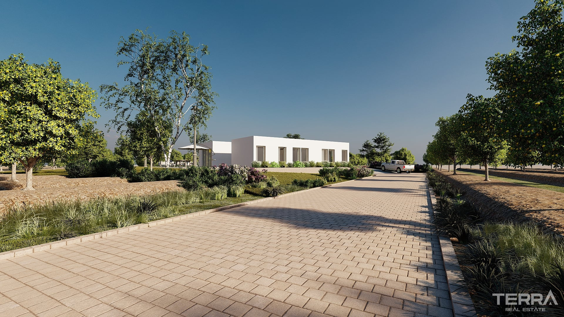 Villas for Sale in Algorfa, Costa Blanca, Spain - 125716