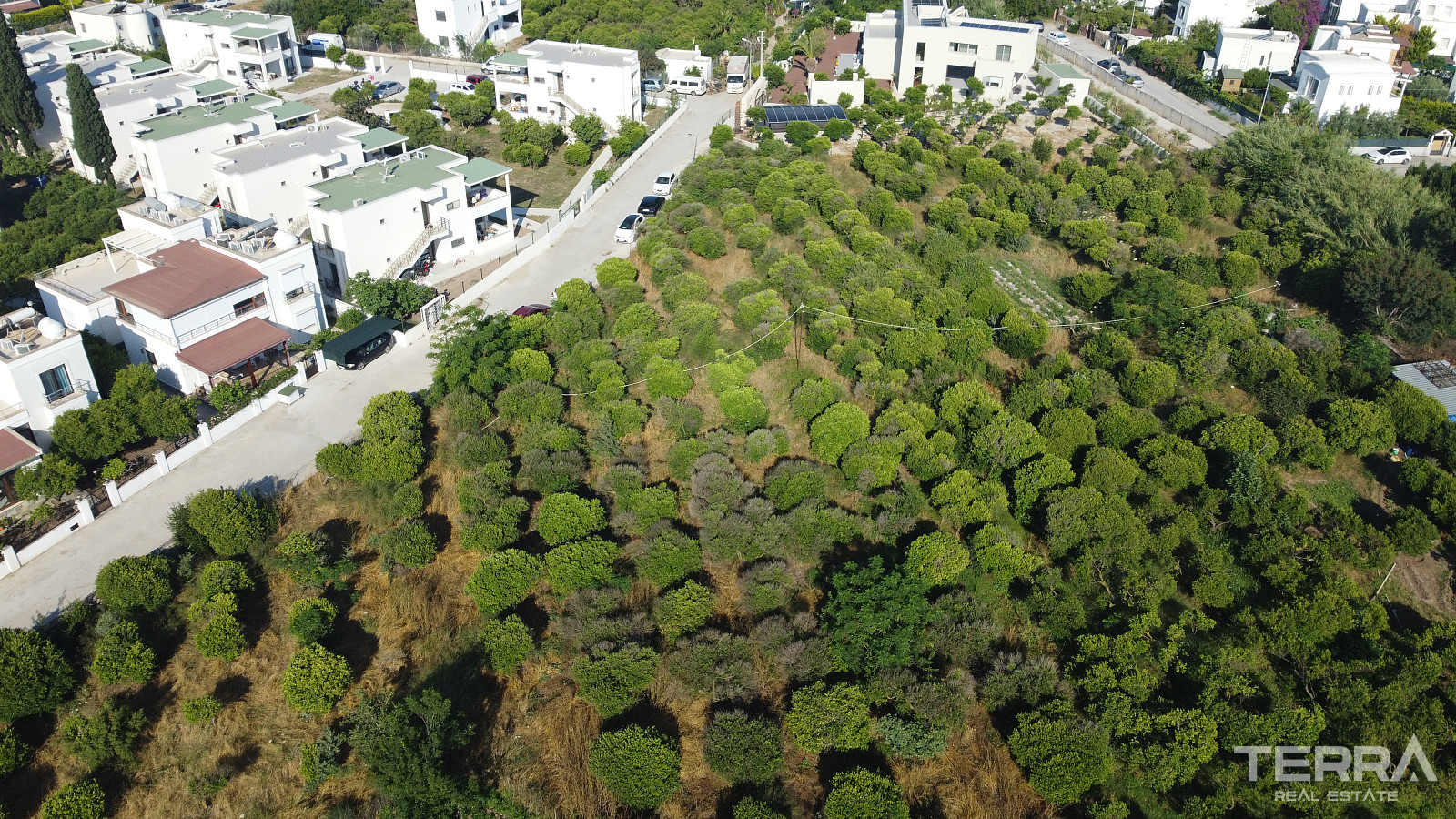 Investment Land Plot for Sale in Bodrum, Muğla, Turkey - 129056