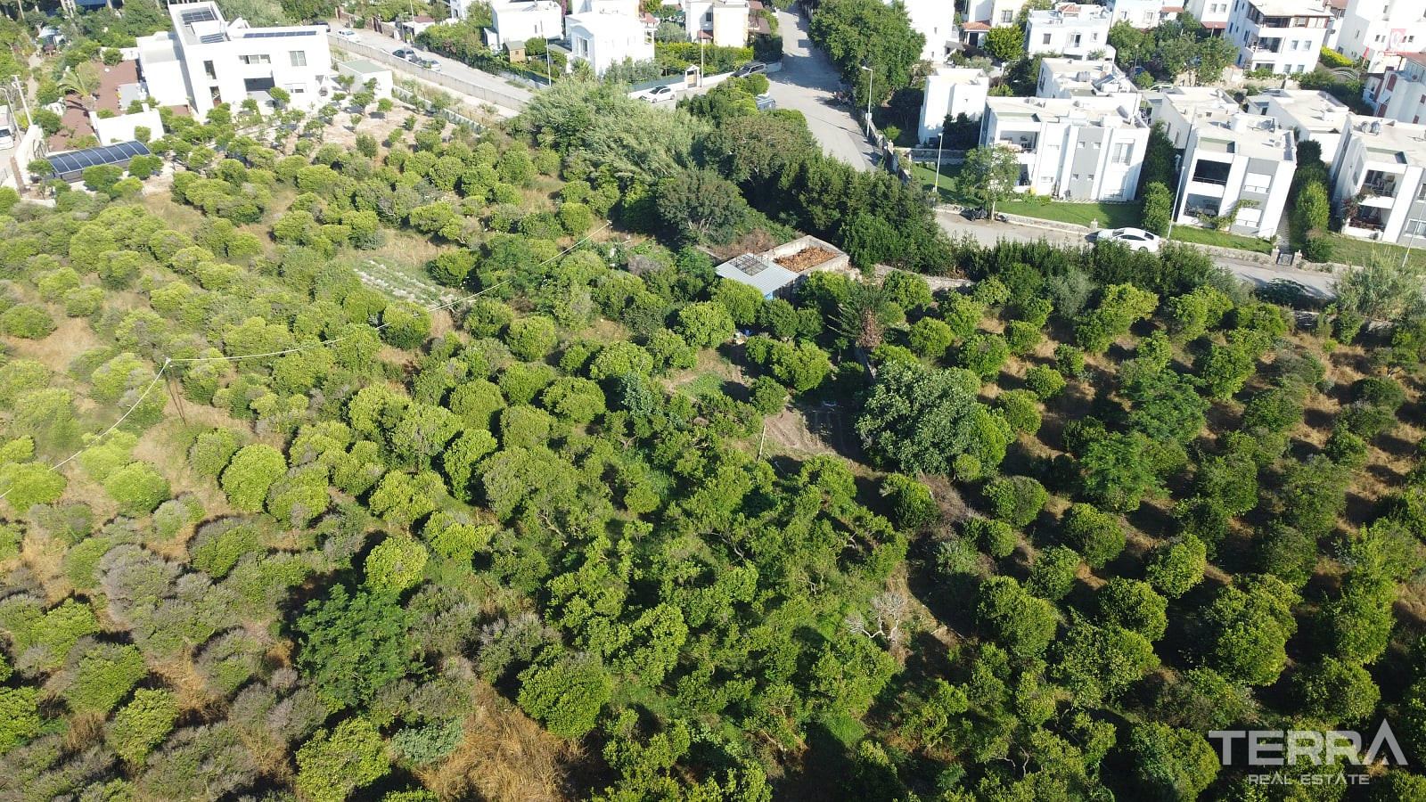 Investment Land Plot for Sale in Bodrum, Muğla, Turkey - 129059