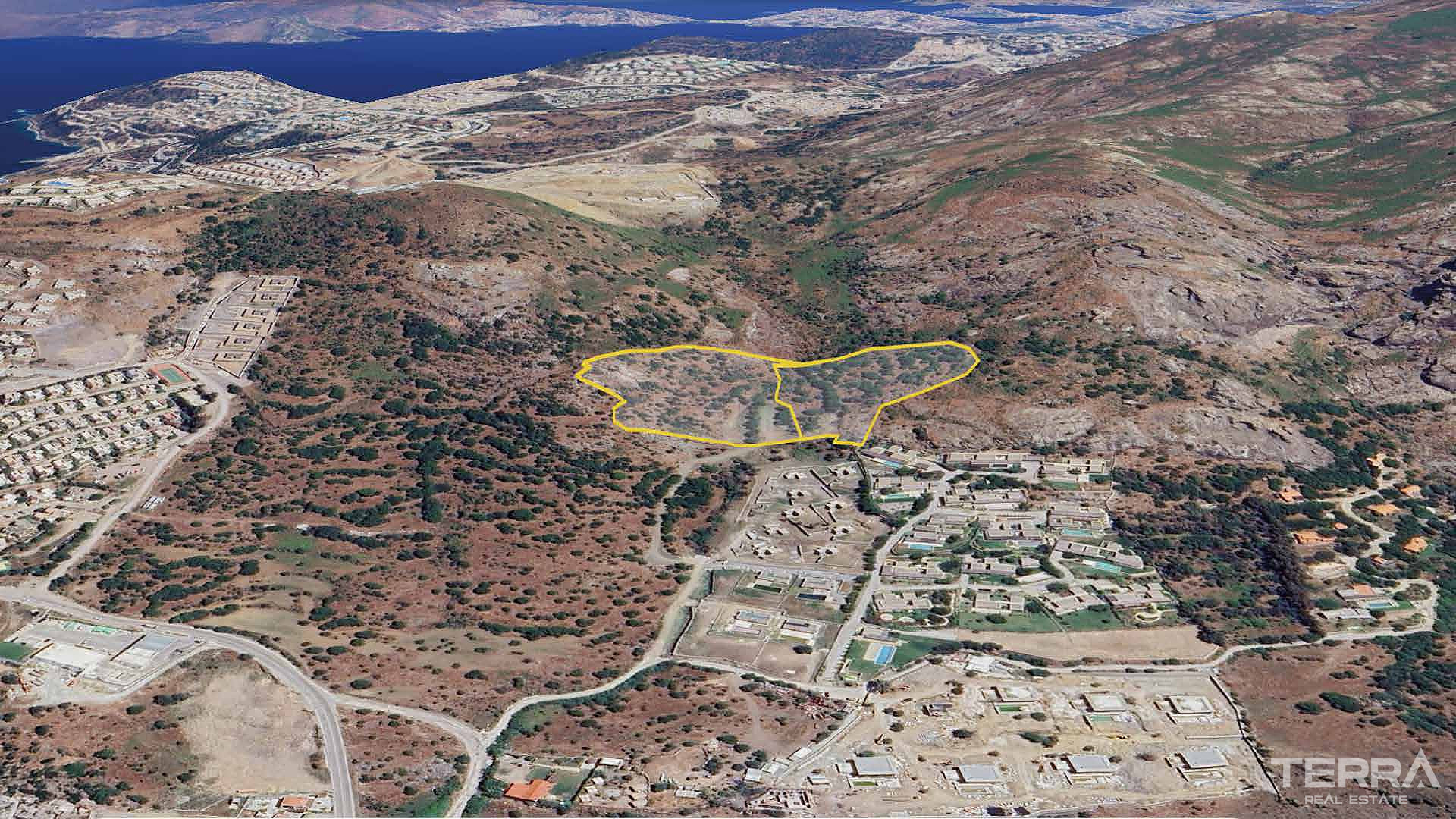 Investment Land Plot for Sale in Bodrum, Muğla, Turkey - 130137