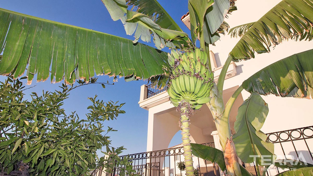 Sea View Villas in Kyrenia Esentepe With Private Pool - 20643